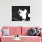 Tuxedo Cat 20"x16"ストレッチキャンバス印刷 キャンバスプリント (インサイチュ (リビング))