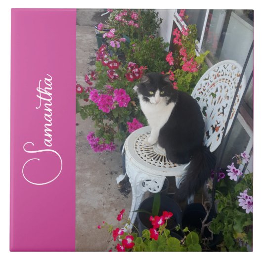 Tuxedo Cat Cats and Flowers Girls Name Dark Pink タイル (正面)