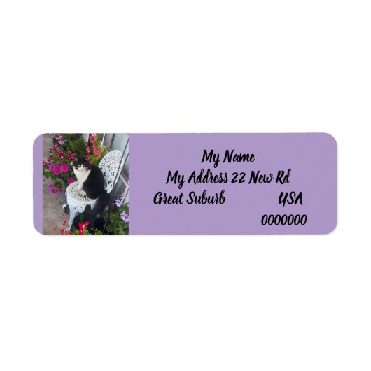 Tuxedo cat Cats Art Return Address Labels Lilac ラベル (正面)