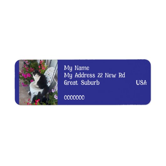 Tuxedo cat Cats Art Return Address Labels Navy ラベル (正面)