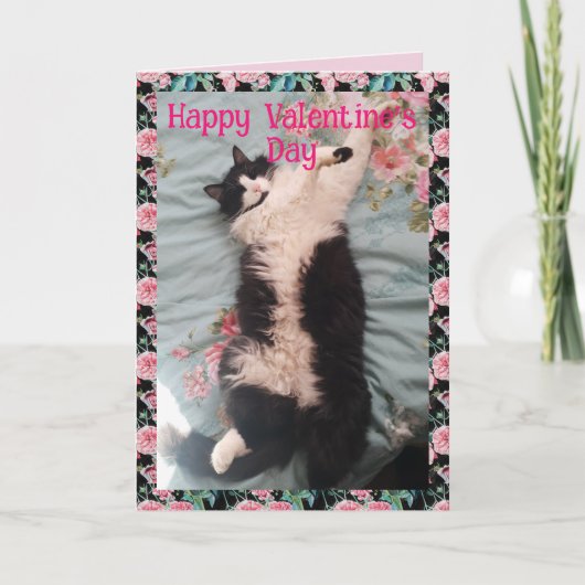 Tuxedo Cat Cute Funny Valentines Day Happy Dance カード (正面)
