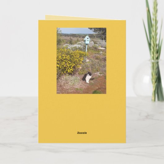 Tuxedo Cat Cute Red Yellow Valentines Wifes Name カード (裏面)