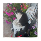 Tuxedo Cat Cute with Pretty Flowers Black Cats タイル (正面)