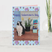Tuxedo Cat Funny Cute Cats Valentines Day Blue カード (正面)