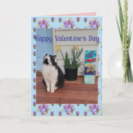 Tuxedo Cat Funny Cute Cats Valentines Day Blue カード