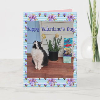 Tuxedo Cat Funny Cute Cats Valentines Day Blue カード