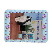 Tuxedo Cat Funny Cute Cats Valentines Day Blue マグネット (横)