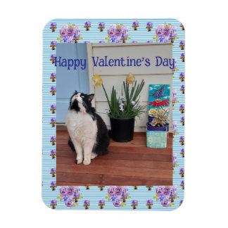 Tuxedo Cat Funny Cute Cats Valentines Day Blue マグネット