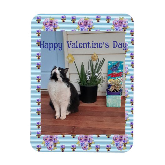 Tuxedo Cat Funny Cute Cats Valentines Day Blue マグネット (縦)
