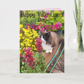 Tuxedo Cat Funny Red Yellow Valentines Wifes Name カード (正面)