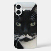Tuxedo Cat iPhoneケース Case-Mate iPhoneケース (裏面)