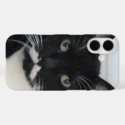 Tuxedo Cat iPhoneケース Case-Mate iPhoneケース (裏面 (横))