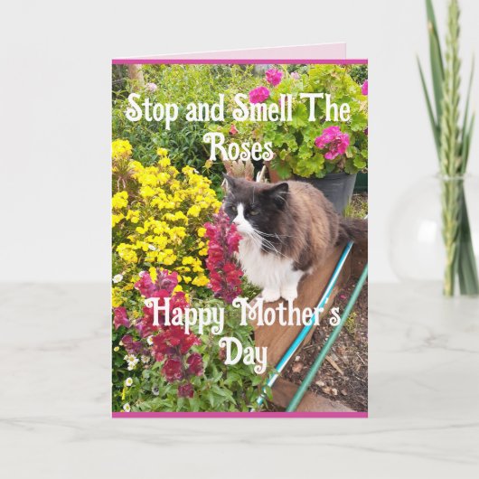 Tuxedo Cat Sniffing Flowers Funny Mothers Day Pink カード (正面)