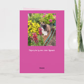 Tuxedo Cat Sniffing Flowers Funny Valentines Day カード (裏面)