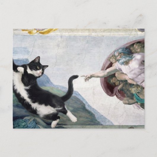 Tuxedo Cat Touching the Divine Paw                 ポストカード (正面)