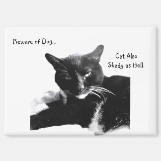 Tuxedo Cat with Shady Smile  マグネット