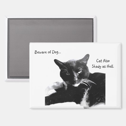 Tuxedo Cat with Shady Smile  マグネット (正面/裏面)