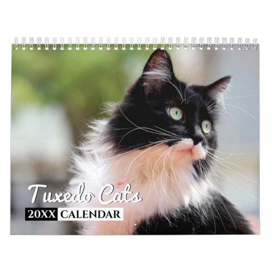 Tuxedo Catsフォトウォールカレンダー カレンダー (カバー)
