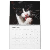 Tuxedo Catsフォトウォールカレンダー カレンダー (1月 2027)