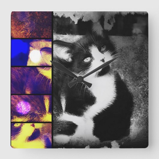 Tuxedo Kittenフォトアートウォールクロック スクエア壁時計 (正面)