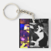 Tuxedo Kittenフォトアートキーチェーン キーホルダー (正面)