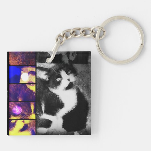 Tuxedo Kittenフォトアートキーチェーン キーホルダー (裏面)