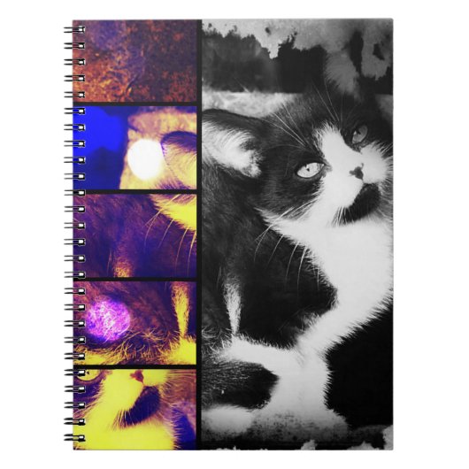 Tuxedo Kittenフォトアートノート ノートブック (正面)