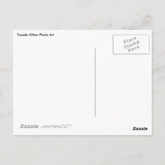 Tuxedo Kittenフォトアートポストカード ポストカード (裏面)