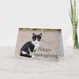 Tuxedo Kitten :: Happy Thanksgiving Greeting Card シーズンカード