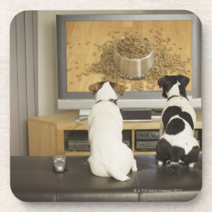 TVの食糧が付いている犬の皿を見ている犬 コースター