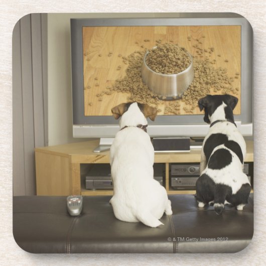 TVの食糧が付いている犬の皿を見ている犬 コースター (正面)