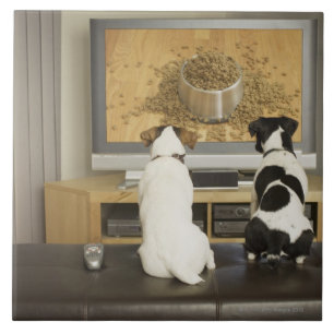 TVの食糧が付いている犬の皿を見ている犬 タイル