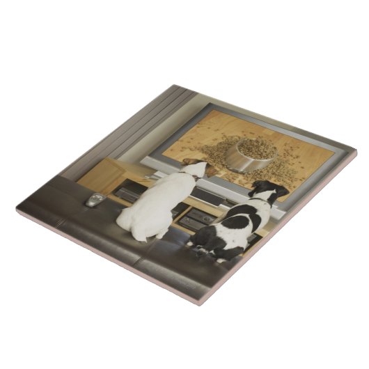 TVの食糧が付いている犬の皿を見ている犬 タイル (側面)