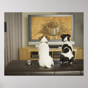 TVの食糧が付いている犬の皿を見ている犬 ポスター