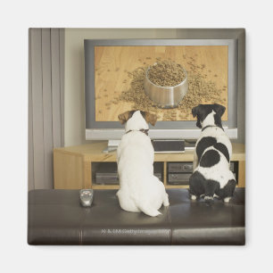 TVの食糧が付いている犬の皿を見ている犬 マグネット