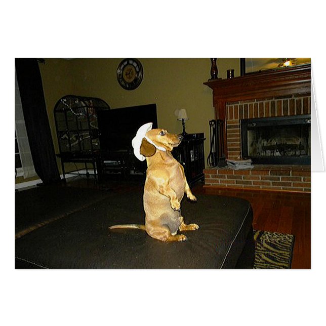 TVダッかわいらしシュントに座るか見る (正面横)