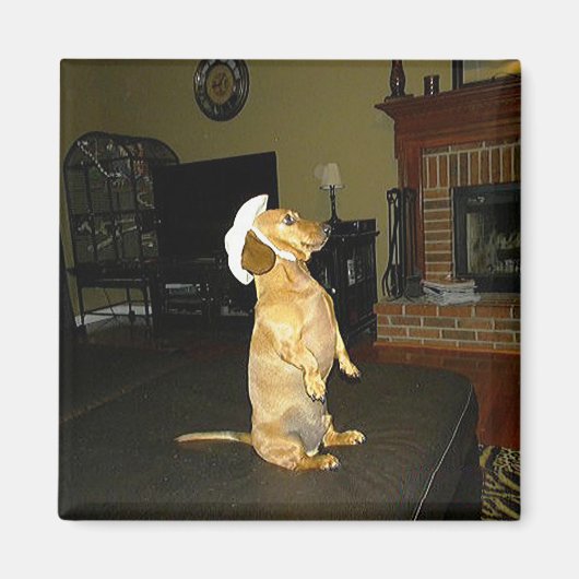 TVダッかわいらしシュントに座るか見る マグネット (正面)