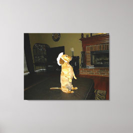 TVダッかわいらしシュントのキャンバスを座るか見る キャンバスプリント