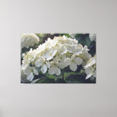 *~* TV2 Soft Hydrangea Streted Canvas Print キャンバスプリント (正面)