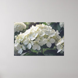 *~* TV2 Soft Hydrangea Streted Canvas Print キャンバスプリント