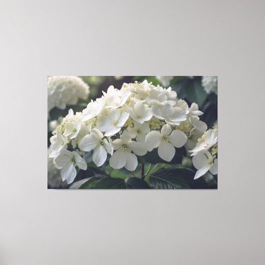*~* TV2 Soft Hydrangea Streted Canvas Print キャンバスプリント (正面)