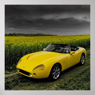 TVR Griffith Print ポスター