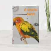 "TWEETTING"非常にハッピーイースターホリデーカード シーズンカード (正面)