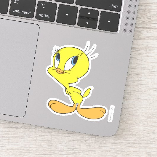 TWEETY™うーん シール (詳細)