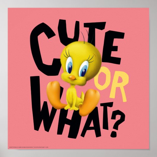 TWEETY™ – かわいいかな? ポスター (正面)