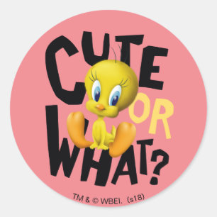 TWEETY™ – かわいいかな？ ラウンドシール