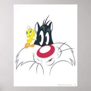 TWEETY™アクションポーズ12 ポスター