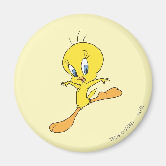 TWEETY™着陸 マグネット (正面)