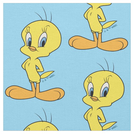 TWEETY™ | 頭の良い鳥 ファブリック (クローズアップ)