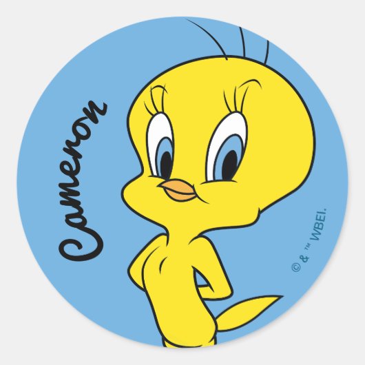 TWEETY™ | 頭の良い鳥 ラウンドシール (正面)